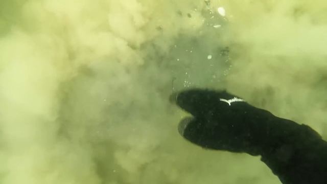 ??IN SEARCH OF REAL GOLD. GOLD, SILVER, COINS. Metal Detecting Underwater.