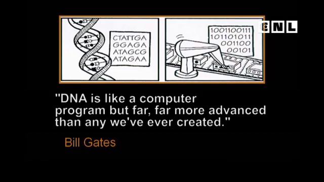 Разумный замысел (часть 3)