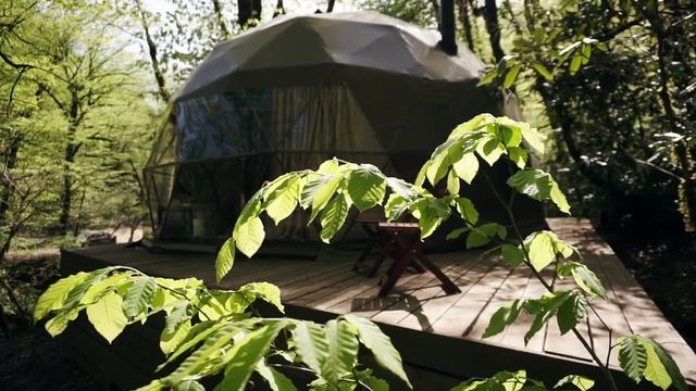 Вилли Улей Сочи в сердце национального парка смотреть онлайн