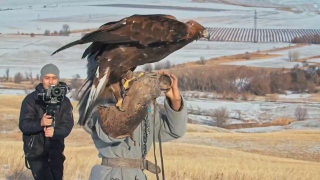 Визитная карточка Казахстана: природа, кухня и традиции / "А как там у них?" c Еленой Кукеле смотреть онлайн