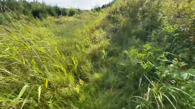 Поездка в лес.Покатушка. Квадроцикл Polaris 1000XP смотреть онлайн