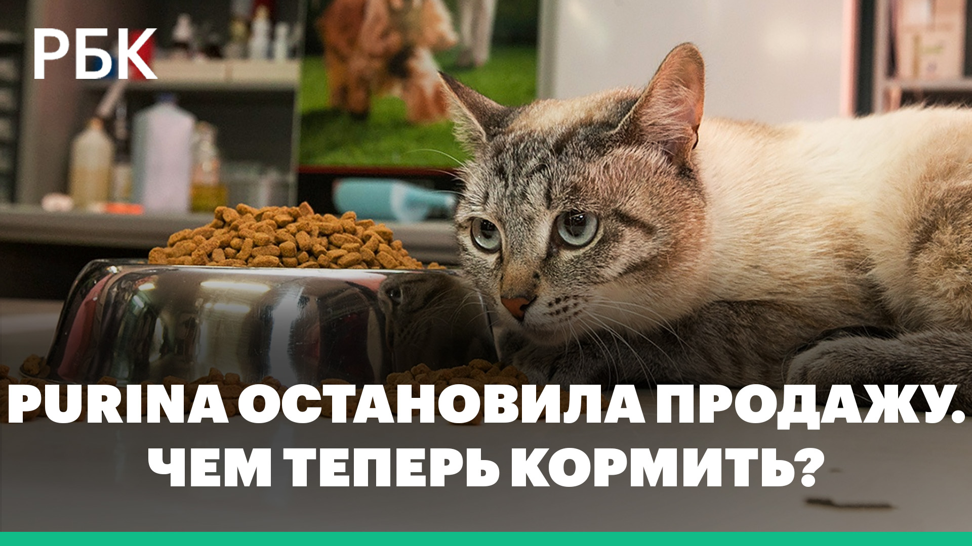 Чем заменить Purina, остановившую в России продажу кормов Friskies, Dog Chow и Gourmet