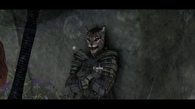 Skyrim Special Edition -Funny- Interesting NPCs ( 3DNPC ) mod - The Khajiit hate the Thalmor смотреть онлайн