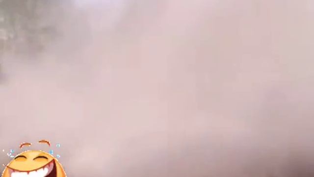 Смешные видео