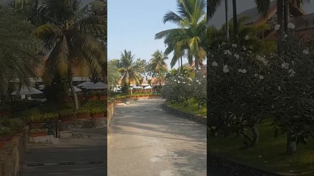 Индия, Ковалам. Пляж, фрукты. смотреть онлайн
