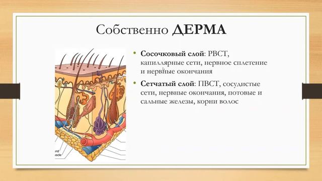 Кожа и её производные смотреть онлайн