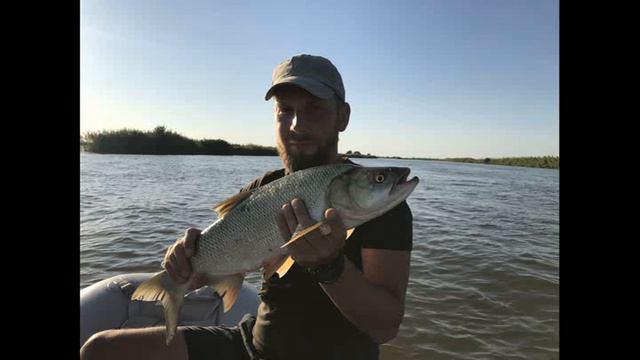 Рыбалка"ДЕД" Дельта- раскаты 2017 г.сентябрь. смотреть онлайн