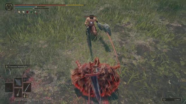 THE MOONLIGHT KNIGHT BUILD | Elden Ring PVP Duels (Moonveil Katana + Darkmoon Greatsword) смотреть онлайн