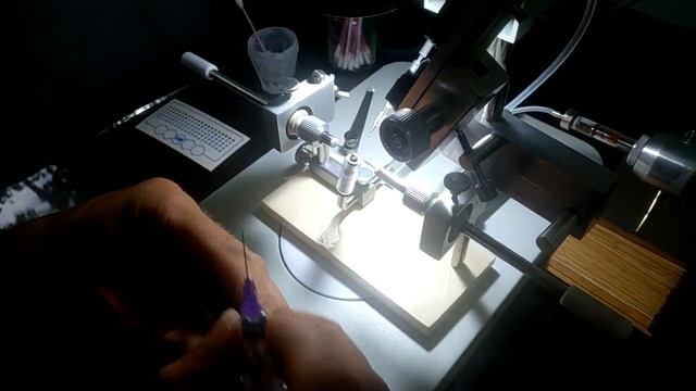 Инсеминация пчеломатки на станке Липатова смотреть онлайн