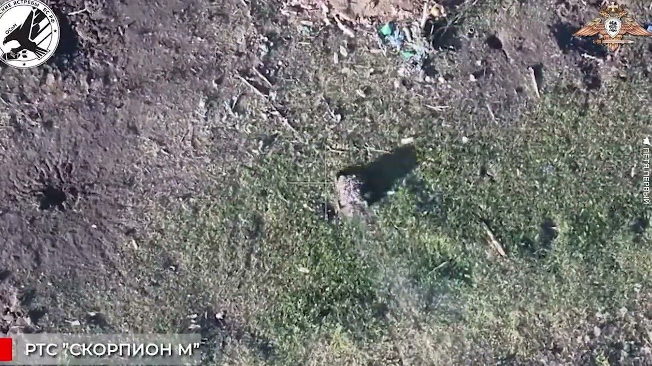 Российский колёсный дрон-камикадзе "Скорпион"уничтожил позиции ВСУ смотреть онлайн
