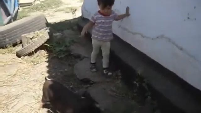 Поросёнок убежал (музыка - "Поросёнок", Ирина Конвенан) смотреть онлайн