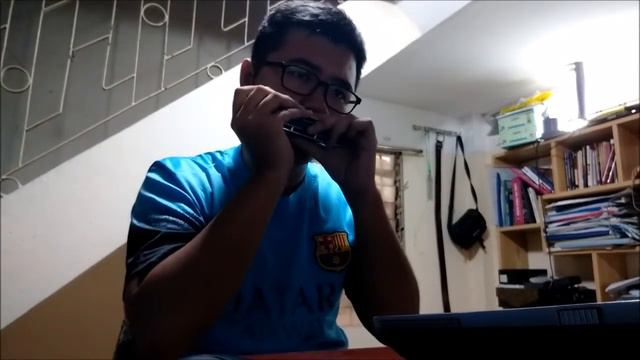 Despacito - Harmonica (Long Tạ) смотреть онлайн