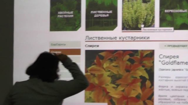 Декоративные кустарники Северо-Запада: часть 1 смотреть онлайн