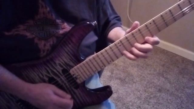 Schecter Sun Valley Super Shredder III смотреть онлайн