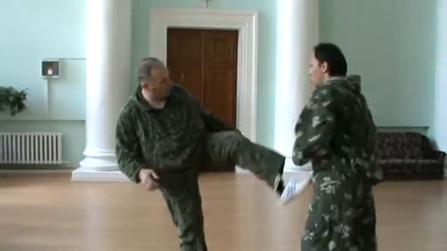 система Ибраева В.Н. смотреть онлайн