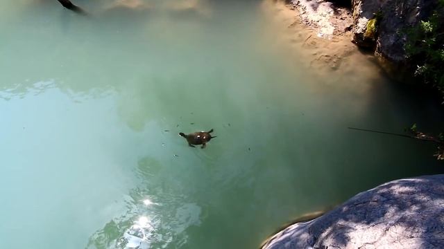 Турция, Кемер - в каньон Гейнюк ? самостоятельно. Экскурсия своим ходом из Кемера смотреть онлайн