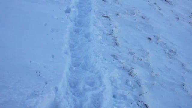 TRIP VLOG || Польские Татры или выходные в горах смотреть онлайн