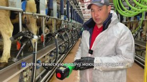 Рутина доения с Pulisistem на доильном зале Трансфэр Race Way 360