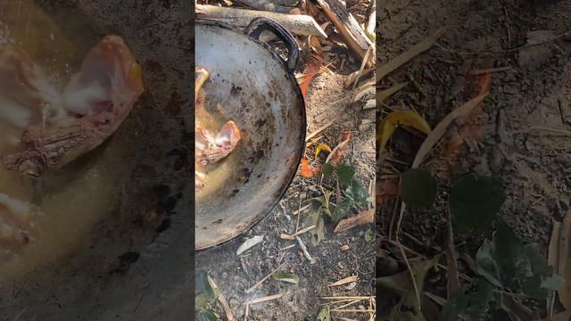 wow fry chicken 's meat #countryside #fishing #primitiveliffe #ricedish #fish #primitive #friedfood смотреть онлайн