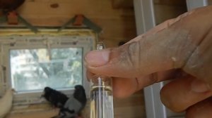 Дезинфекция голубятни
