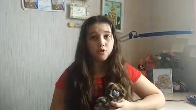 История выражения „ Ёшкин кот". Чем заняться на карантине. смотреть онлайн