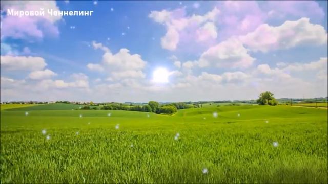 🔹Совет Старейшин созвездия Андромеды-ченнелинг смотреть онлайн