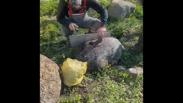 Остров Пасхи в Ленобласти? смотреть онлайн