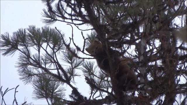 Промысел 2013 смотреть онлайн