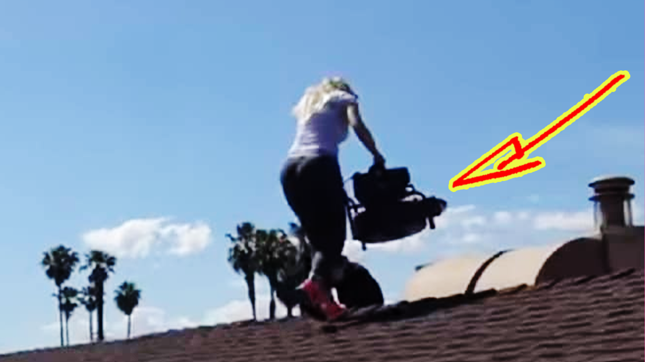 Упав в вентиляционную трубу, котенок звал на помощь, и волонтерам пришлось вытаскивать его смотреть онлайн