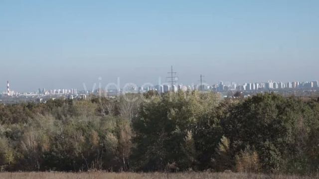Wide Panorama of Big Megapolis Behind a Forest смотреть онлайн