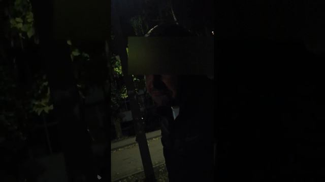 В Воронеже выкинули из окна собаку смотреть онлайн