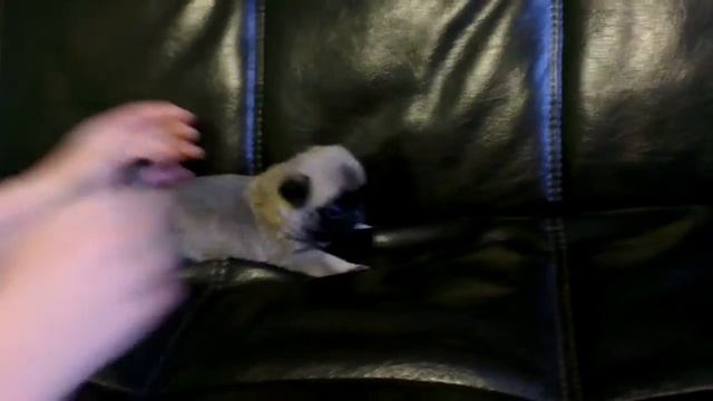 VIDEO00091 смотреть онлайн