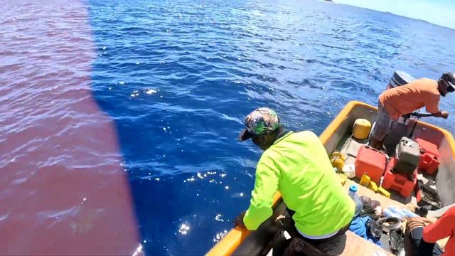 Likiep Atoll смотреть онлайн