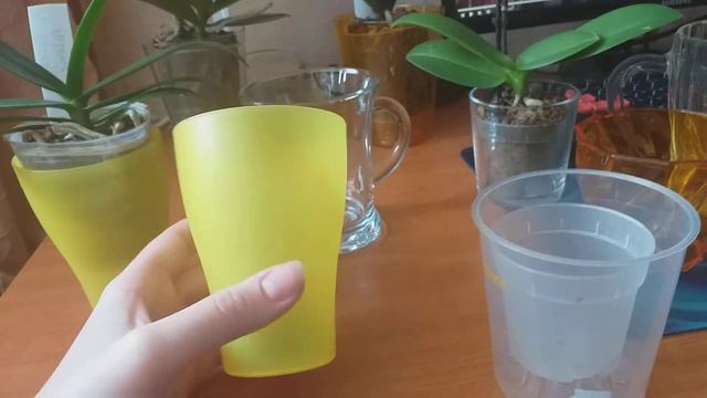 Полезности для орхидей🌸кашпо д9, закрытые системы. Украина .🌈 смотреть онлайн