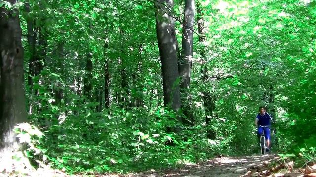 Покатушка в лесу 15.09.2012/biking in the forest 15.09.2012 смотреть онлайн