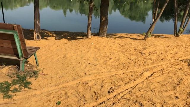 ДАЧНЫЙ ВЛОГ. СНТ ЛОТОС смотреть онлайн