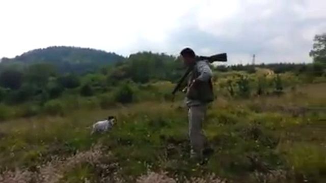 AIRA DEL NENKOVSKI & & ME смотреть онлайн