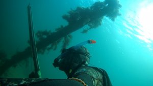 Осенняя, подводная охота в Черном море. Сарган, кефаль 2022.