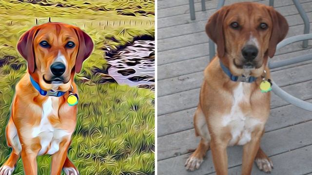 Redbone Coonhound - TOP 10 Interesting Facts смотреть онлайн