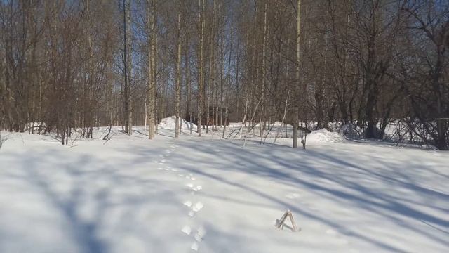 Т 74 вторая часть. 71 год выпуска. ЕДЕТ смотреть онлайн
