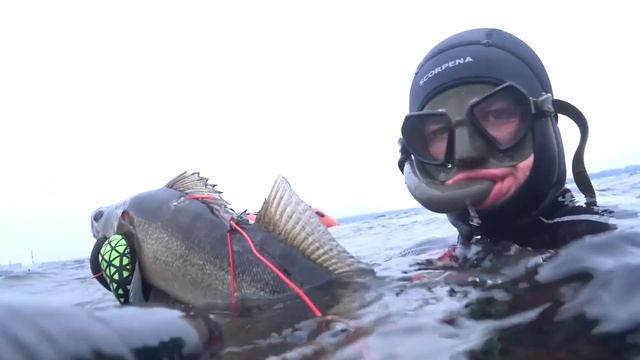 ОТКРЫТИЕ СЕЗОНА 2023!!! ПОДВОДНАЯ ОХОТА!!! смотреть онлайн