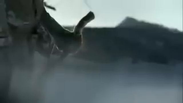 Удивительное видео волки спасли человека от холода... смотреть онлайн