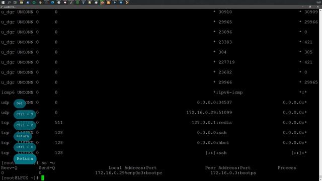LFCE | Использование ss для мониторинга доступности сетевых служб | Oracle Linux 8.2 смотреть онлайн