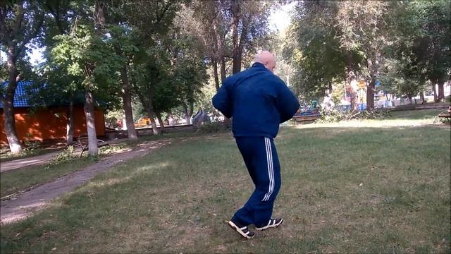 Медведь пробирается сквозь чащу