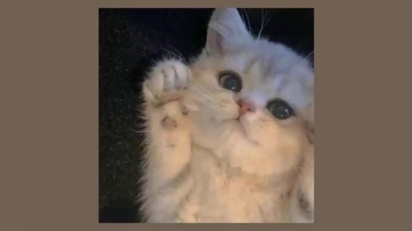 Пока пора завтра точно будет лучше чем вчера (speed up)