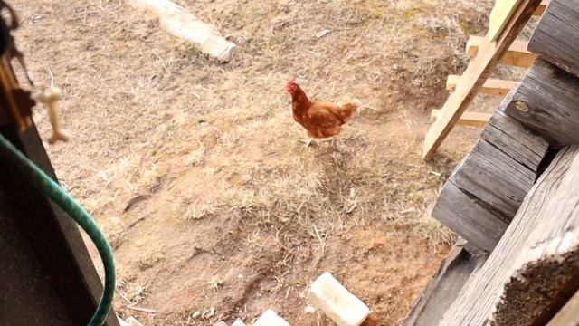 Делаю уличное освещение у дома. Женщина-электрик? смотреть онлайн