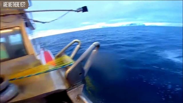 Удивительные автоматические линии, переработка рыбы прямо на корабле в море. Amazing Automatic Line смотреть онлайн