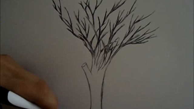 Drawing a tree with PEN смотреть онлайн