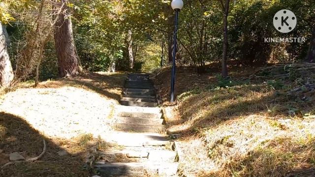 Сочи.По лесном массиву к даче Сталина. смотреть онлайн