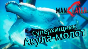Суперхищник АКУЛА  МОЛОТ - #6 MANEATER